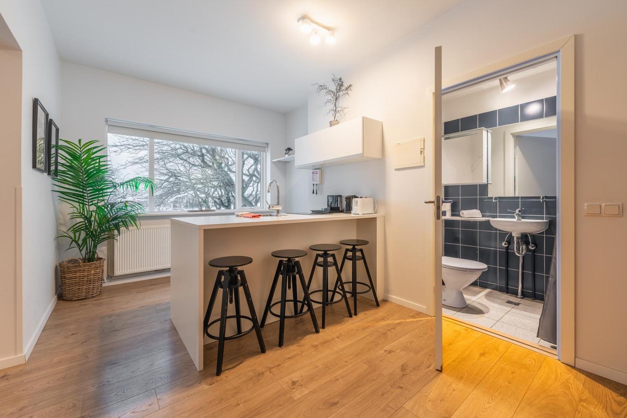 Day Dream Soleyjargata Rooms & Apartments Reykjavík Dış mekan fotoğraf